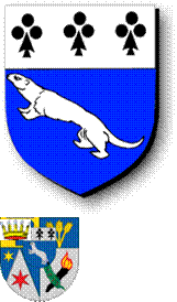 Hermelin_F0272